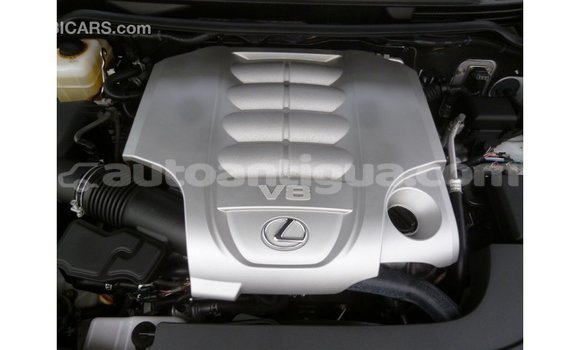 Buy Import Lexus LX White Car in Import - Dubai in Antigua Buy Import Lexus LX White Car in Import - Dubai in Antigua