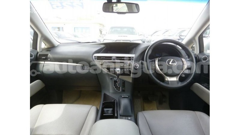 Big with watermark 9382a57a ee01 4f5e b2a7 afd1e2908c04