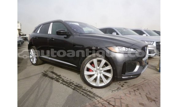 Buy Import Jaguar F-Pace Black Car in Import - Dubai in Antigua