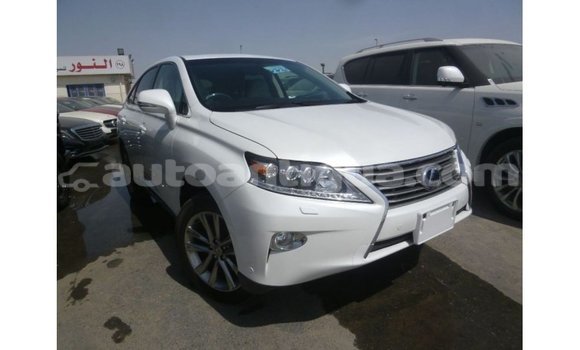 Buy Import Lexus RX White Car in Import - Dubai in Antigua Buy Import Lexus RX White Car in Import - Dubai in Antigua