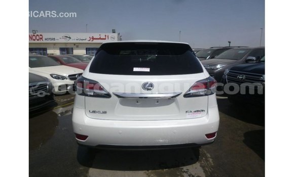 Buy Import Lexus RX White Car in Import - Dubai in Antigua Buy Import Lexus RX White Car in Import - Dubai in Antigua