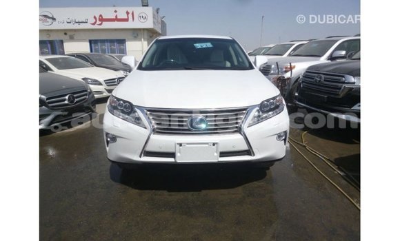 Buy Import Lexus RX White Car in Import - Dubai in Antigua Buy Import Lexus RX White Car in Import - Dubai in Antigua