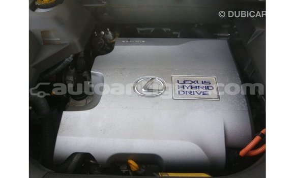 Buy Import Lexus RX White Car in Import - Dubai in Antigua Buy Import Lexus RX White Car in Import - Dubai in Antigua