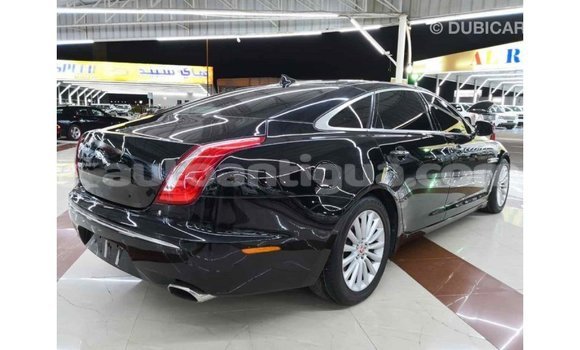 Buy Import Jaguar XJ Black Car in Import - Dubai in Antigua Buy Import Jaguar XJ Black Car in Import - Dubai in Antigua
