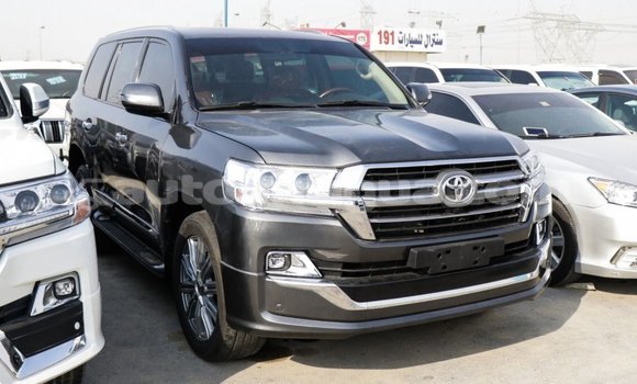 Buy Import Toyota Land Cruiser Black Car in Import - Dubai in Antigua Buy Import Toyota Land Cruiser Black Car in Import - Dubai in Antigua