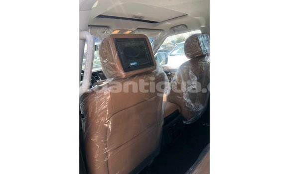 Buy Import Nissan Patrol White Car in Import - Dubai in Antigua Buy Import Nissan Patrol White Car in Import - Dubai in Antigua
