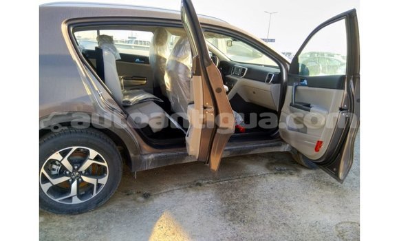 Buy Import Kia Sportage Brown Car in Import - Dubai in Antigua Buy Import Kia Sportage Brown Car in Import - Dubai in Antigua