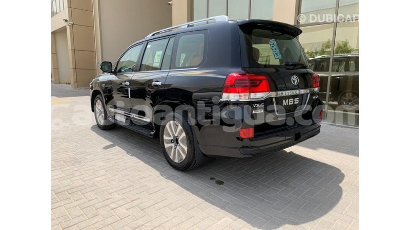 Big with watermark 5f6d33b0 02bc 42b5 bc3f c12125229197