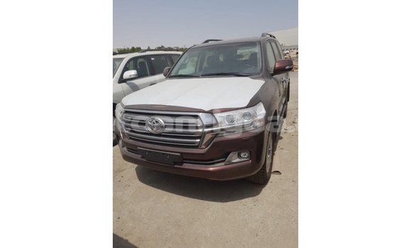 Buy Import Toyota Land Cruiser Brown Car in Import - Dubai in Antigua Buy Import Toyota Land Cruiser Brown Car in Import - Dubai in Antigua