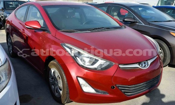 Buy Import Hyundai Elantra Red Car in Import - Dubai in Antigua Buy Import Hyundai Elantra Red Car in Import - Dubai in Antigua