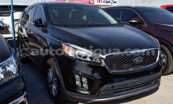 Buy Import Kia Sorento Black Car in Import - Dubai in Antigua Buy Import Kia Sorento Black Car in Import - Dubai in Antigua