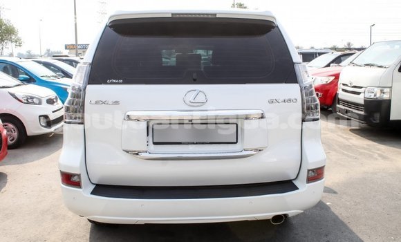 Buy Import Lexus GX White Car in Import - Dubai in Antigua Buy Import Lexus GX White Car in Import - Dubai in Antigua