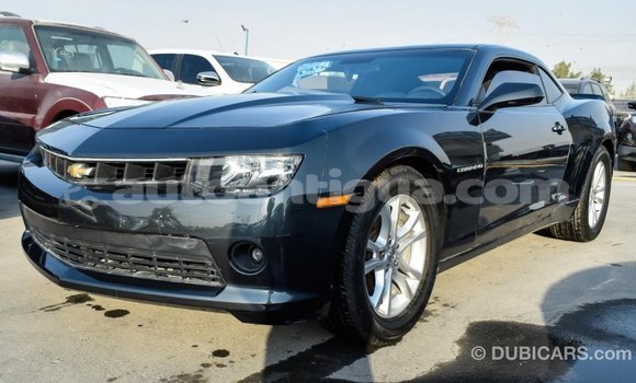 Buy Import Chevrolet Camaro Other Car in Import - Dubai in Antigua Buy Import Chevrolet Camaro Other Car in Import - Dubai in Antigua