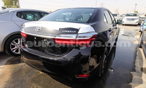 Buy Import Toyota Corolla Black Car in Import - Dubai in Antigua Buy Import Toyota Corolla Black Car in Import - Dubai in Antigua