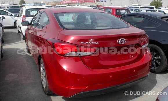 Buy Import Hyundai Elantra Red Car in Import - Dubai in Antigua Buy Import Hyundai Elantra Red Car in Import - Dubai in Antigua