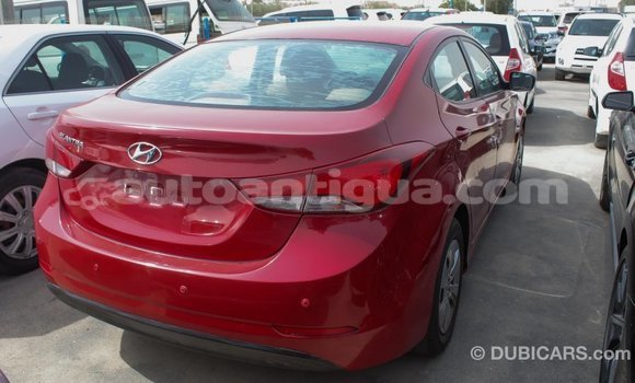 Buy Import Hyundai Elantra Red Car in Import - Dubai in Antigua Buy Import Hyundai Elantra Red Car in Import - Dubai in Antigua
