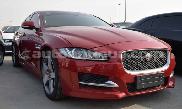 Buy Import Jaguar XE Red Car in Import - Dubai in Antigua