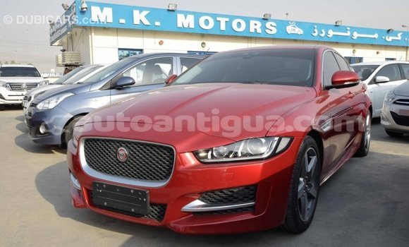 Buy Import Jaguar XE Red Car in Import - Dubai in Antigua Buy Import Jaguar XE Red Car in Import - Dubai in Antigua