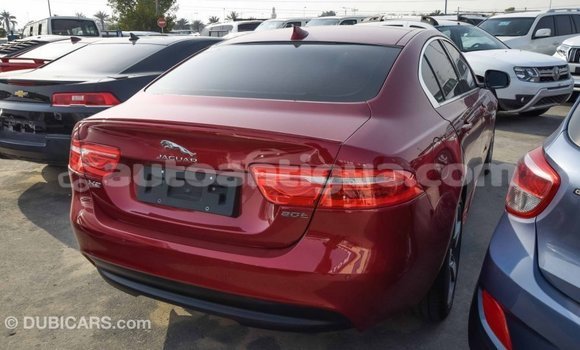 Buy Import Jaguar XE Red Car in Import - Dubai in Antigua Buy Import Jaguar XE Red Car in Import - Dubai in Antigua