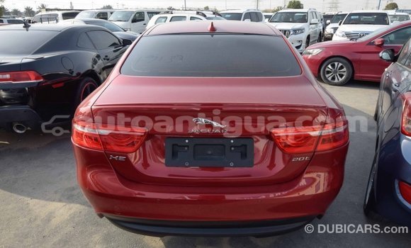 Buy Import Jaguar XE Red Car in Import - Dubai in Antigua Buy Import Jaguar XE Red Car in Import - Dubai in Antigua