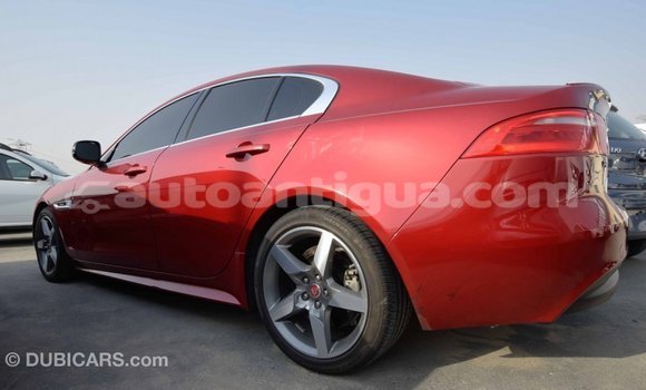 Buy Import Jaguar XE Red Car in Import - Dubai in Antigua Buy Import Jaguar XE Red Car in Import - Dubai in Antigua