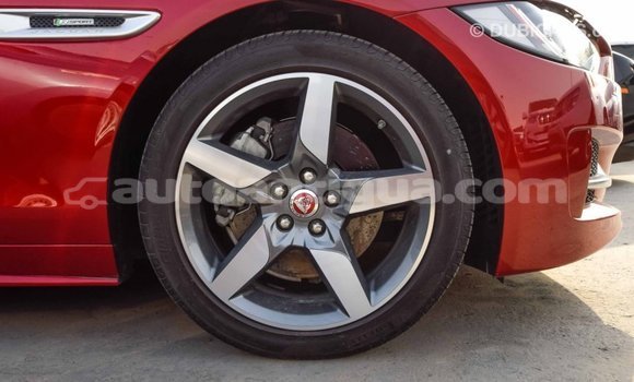 Buy Import Jaguar XE Red Car in Import - Dubai in Antigua Buy Import Jaguar XE Red Car in Import - Dubai in Antigua