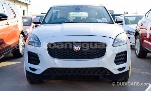 Buy Import Jaguar E-Pace White Car in Import - Dubai in Antigua Buy Import Jaguar E-Pace White Car in Import - Dubai in Antigua