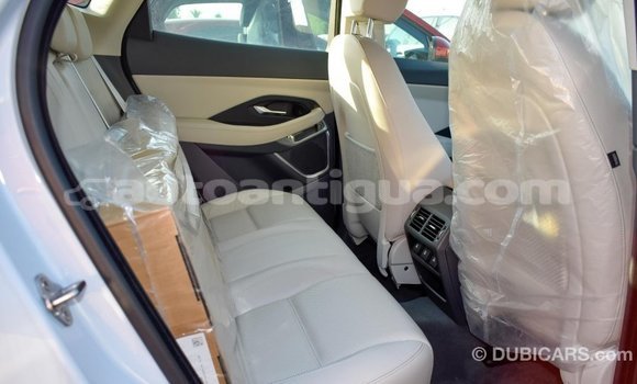 Buy Import Jaguar E-Pace White Car in Import - Dubai in Antigua Buy Import Jaguar E-Pace White Car in Import - Dubai in Antigua