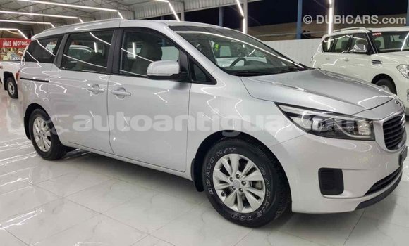 Buy Import Kia Carnival Other Car in Import - Dubai in Antigua Buy Import Kia Carnival Other Car in Import - Dubai in Antigua