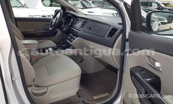 Buy Import Kia Carnival Other Car in Import - Dubai in Antigua Buy Import Kia Carnival Other Car in Import - Dubai in Antigua