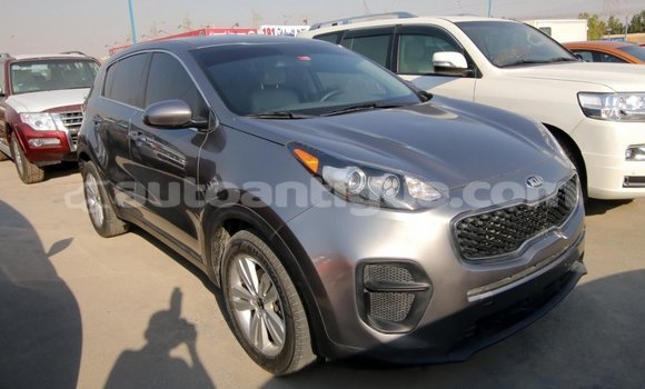 Buy Import Kia Sportage Other Car in Import - Dubai in Antigua Buy Import Kia Sportage Other Car in Import - Dubai in Antigua