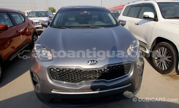 Buy Import Kia Sportage Other Car in Import - Dubai in Antigua Buy Import Kia Sportage Other Car in Import - Dubai in Antigua