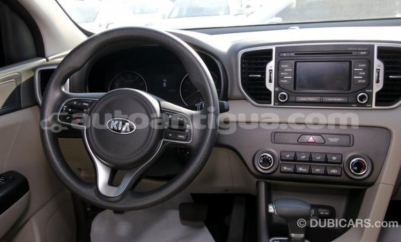 Buy Import Kia Sportage Other Car in Import - Dubai in Antigua Buy Import Kia Sportage Other Car in Import - Dubai in Antigua