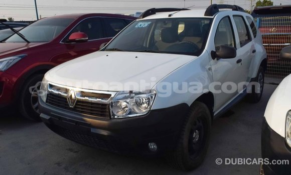 Buy Import Renault Duster White Car in Import - Dubai in Antigua Buy Import Renault Duster White Car in Import - Dubai in Antigua