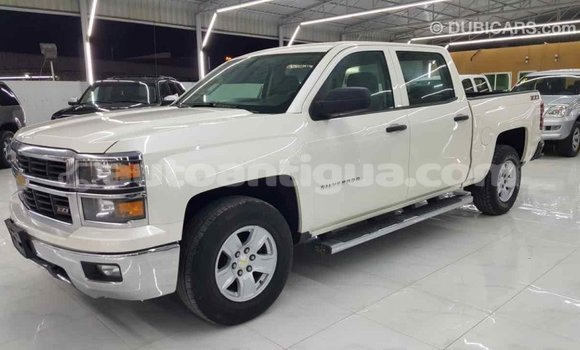 Buy Import Chevrolet Silverado White Car in Import - Dubai in Antigua Buy Import Chevrolet Silverado White Car in Import - Dubai in Antigua