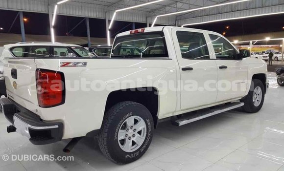 Buy Import Chevrolet Silverado White Car in Import - Dubai in Antigua Buy Import Chevrolet Silverado White Car in Import - Dubai in Antigua