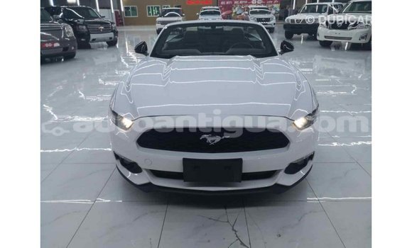 Buy Import Ford Mustang White Car in Import - Dubai in Antigua Buy Import Ford Mustang White Car in Import - Dubai in Antigua