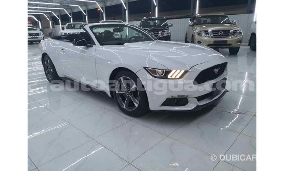 Buy Import Ford Mustang White Car in Import - Dubai in Antigua Buy Import Ford Mustang White Car in Import - Dubai in Antigua