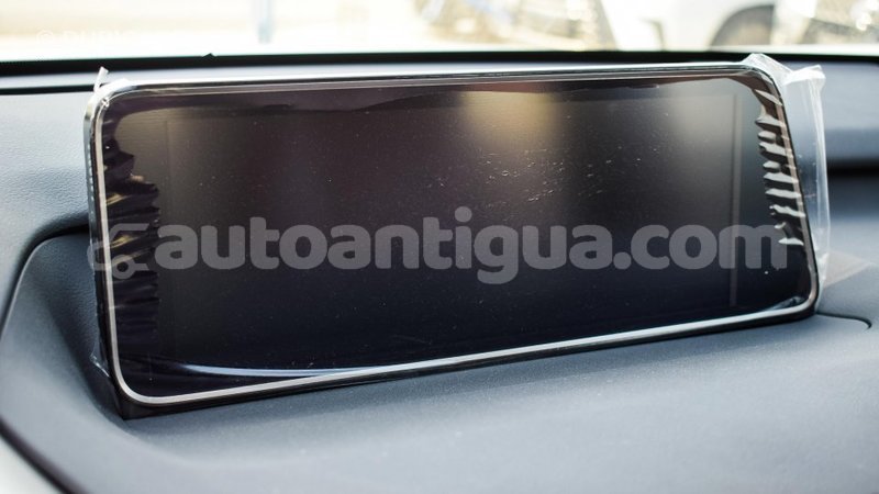 Big with watermark lexus rx 300 antigua import dubai 1398