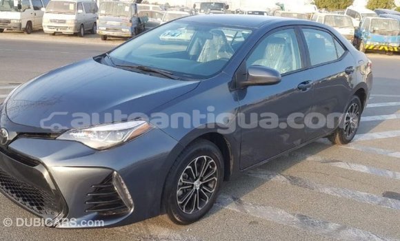 Buy Import Toyota Corolla Other Car in Import - Dubai in Antigua Buy Import Toyota Corolla Other Car in Import - Dubai in Antigua