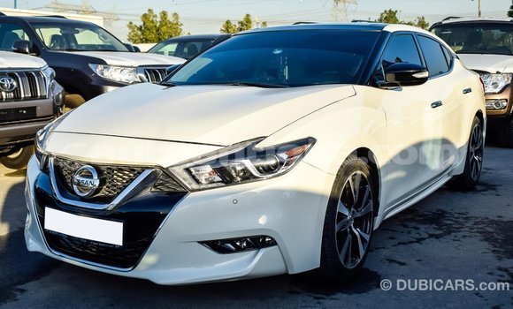 Buy Import Nissan Maxima White Car in Import - Dubai in Antigua Buy Import Nissan Maxima White Car in Import - Dubai in Antigua
