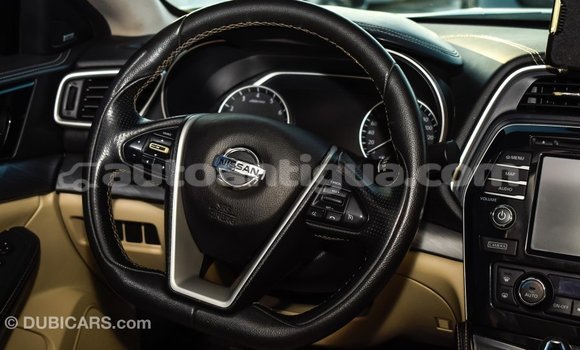 Buy Import Nissan Maxima White Car in Import - Dubai in Antigua Buy Import Nissan Maxima White Car in Import - Dubai in Antigua