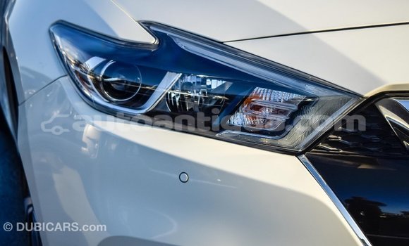 Buy Import Nissan Maxima White Car in Import - Dubai in Antigua Buy Import Nissan Maxima White Car in Import - Dubai in Antigua
