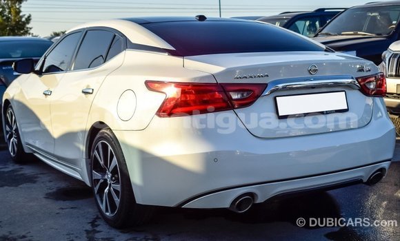 Buy Import Nissan Maxima White Car in Import - Dubai in Antigua Buy Import Nissan Maxima White Car in Import - Dubai in Antigua