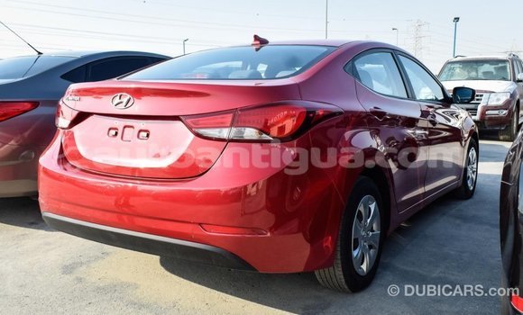 Buy Import Hyundai Elantra Red Car in Import - Dubai in Antigua Buy Import Hyundai Elantra Red Car in Import - Dubai in Antigua