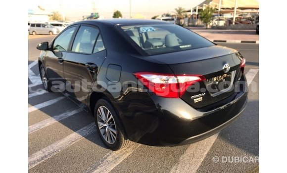 Buy Import Toyota Corolla Black Car in Import - Dubai in Antigua Buy Import Toyota Corolla Black Car in Import - Dubai in Antigua
