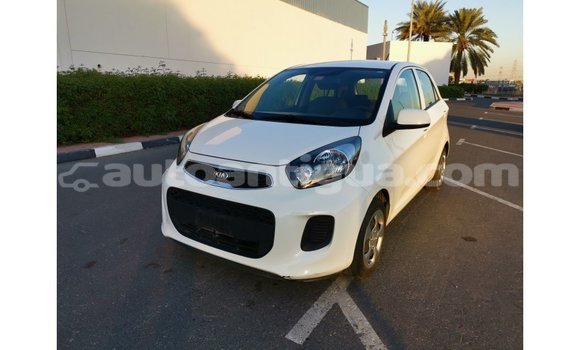 Buy Import Kia Picanto White Car in Import - Dubai in Antigua Buy Import Kia Picanto White Car in Import - Dubai in Antigua