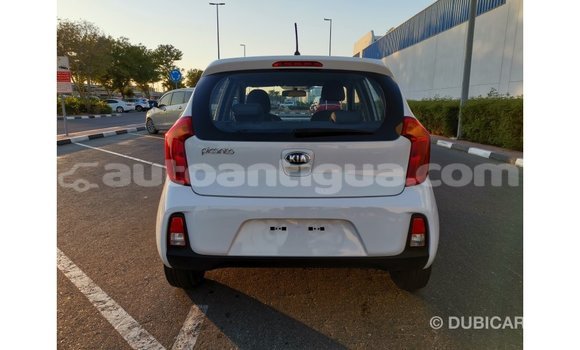 Buy Import Kia Picanto White Car in Import - Dubai in Antigua Buy Import Kia Picanto White Car in Import - Dubai in Antigua