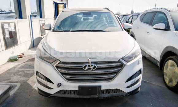 Buy Import Hyundai Tucson White Car in Import - Dubai in Antigua Buy Import Hyundai Tucson White Car in Import - Dubai in Antigua