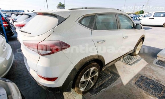 Buy Import Hyundai Tucson White Car in Import - Dubai in Antigua Buy Import Hyundai Tucson White Car in Import - Dubai in Antigua